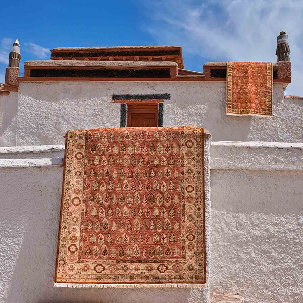 Herati Hand Knotted Woollen Rug