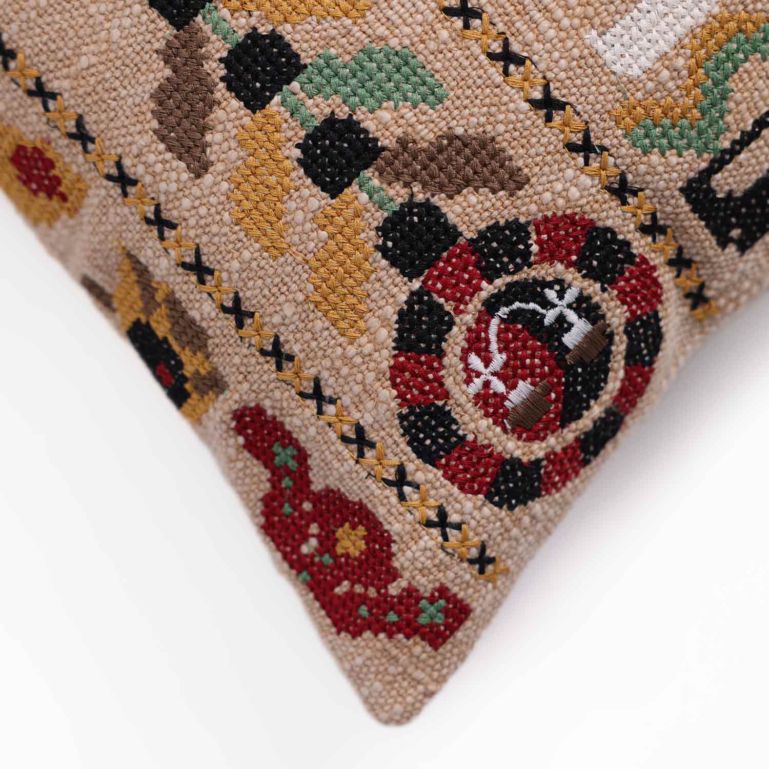 Ziba Embroidered Multicolored Cushion Cover