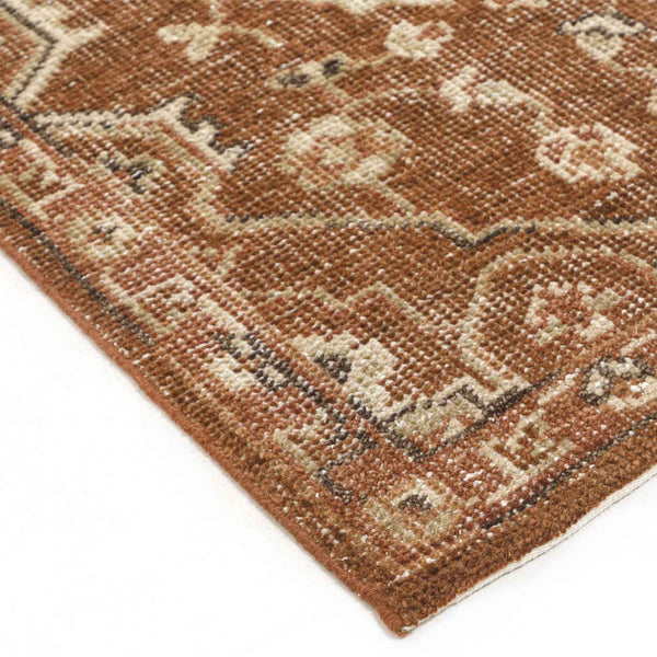Carob Hand Knotted Woollen And Cotton Rug
