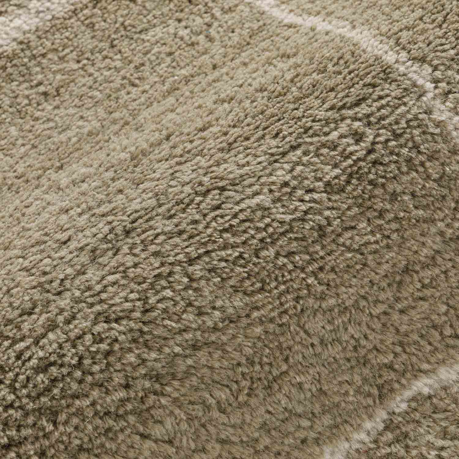 Lawn Hand Tufted Woollen And Viscose Rug