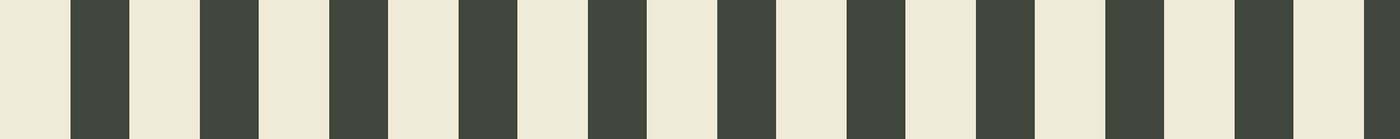 Zebra crossing strip