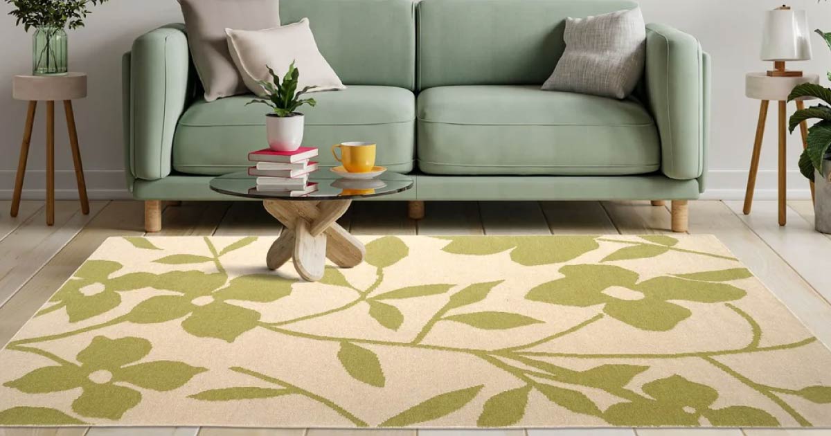 Cleaning your Carpets after a Rangon Vaali Holi 