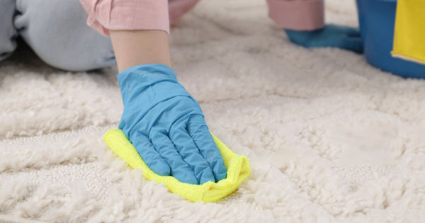Rug Cleaning and Maintenance Tips to Keep Your Investment Beautiful