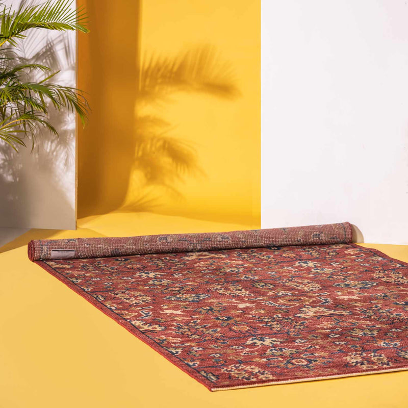 Empress Hand Knotted Woollen And Cotton Rug