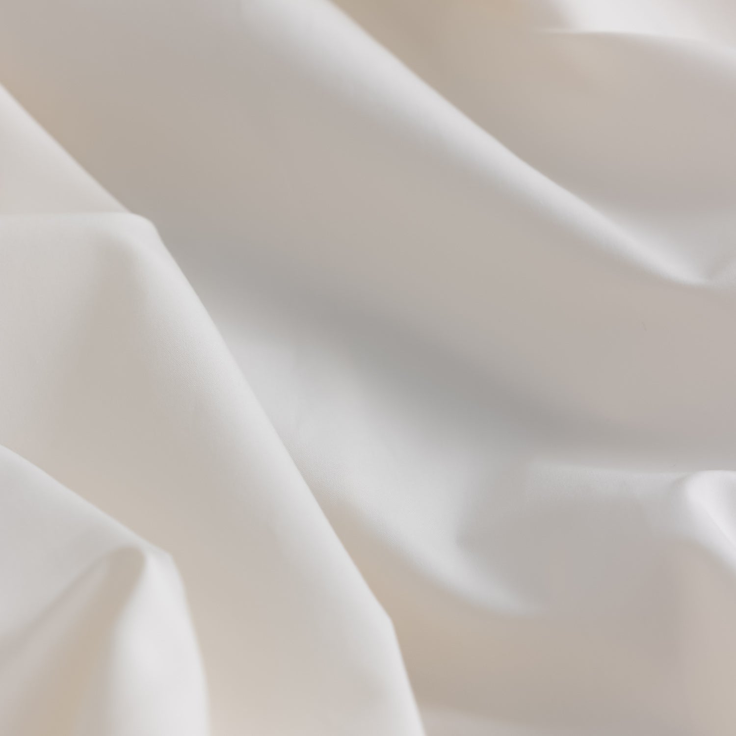 Shell Bed sheet Set