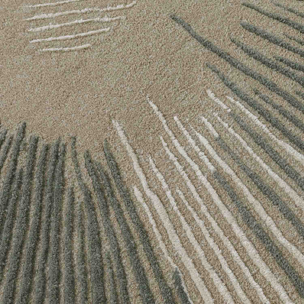 Radiant Carve  Hand Tufted Wool And Viscose Rug