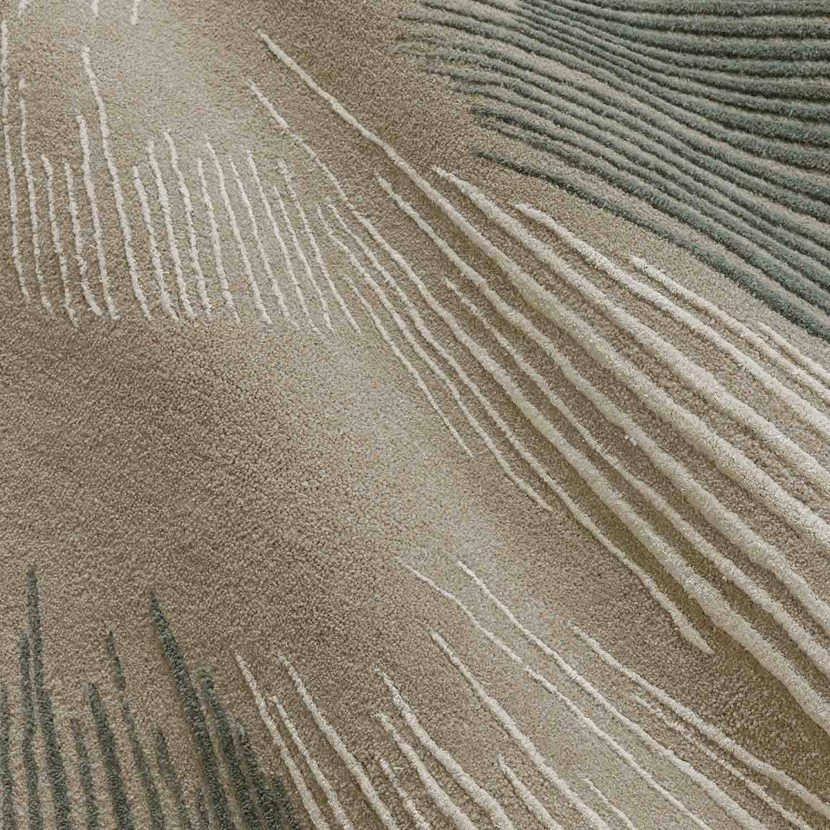Radiant Carve  Hand Tufted Wool And Viscose Rug
