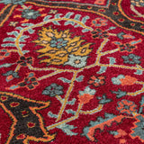 Adyanya Hand Knotted Woollen Rug