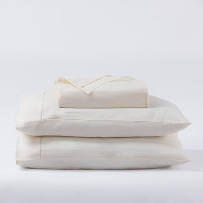 Shell Bed sheet Set