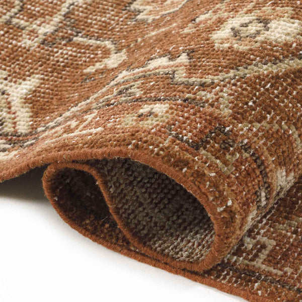 Carob Hand Knotted Woollen  Rug