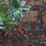 Kante Hand Knotted Woollen Rug
