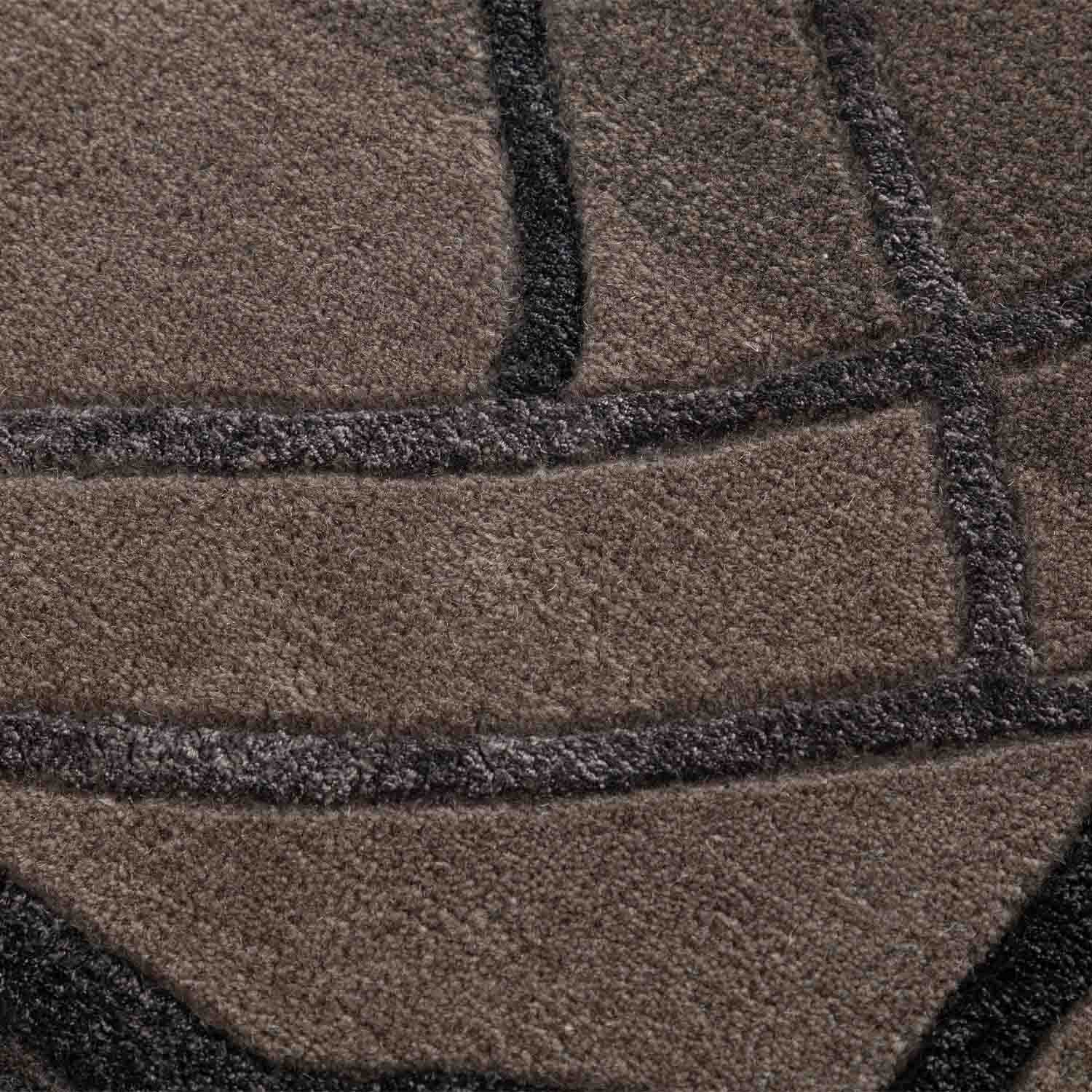 Frozen Motion Hand Tufted Woollen And Viscose Rug By Shripal Munshi