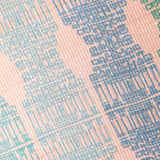 Fiortan Tassar Silk Digital Printed Cushion Cover By Mariella Ienna