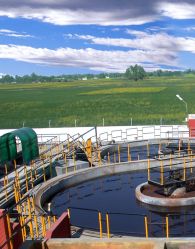 Primary treatment sedimentation tanks