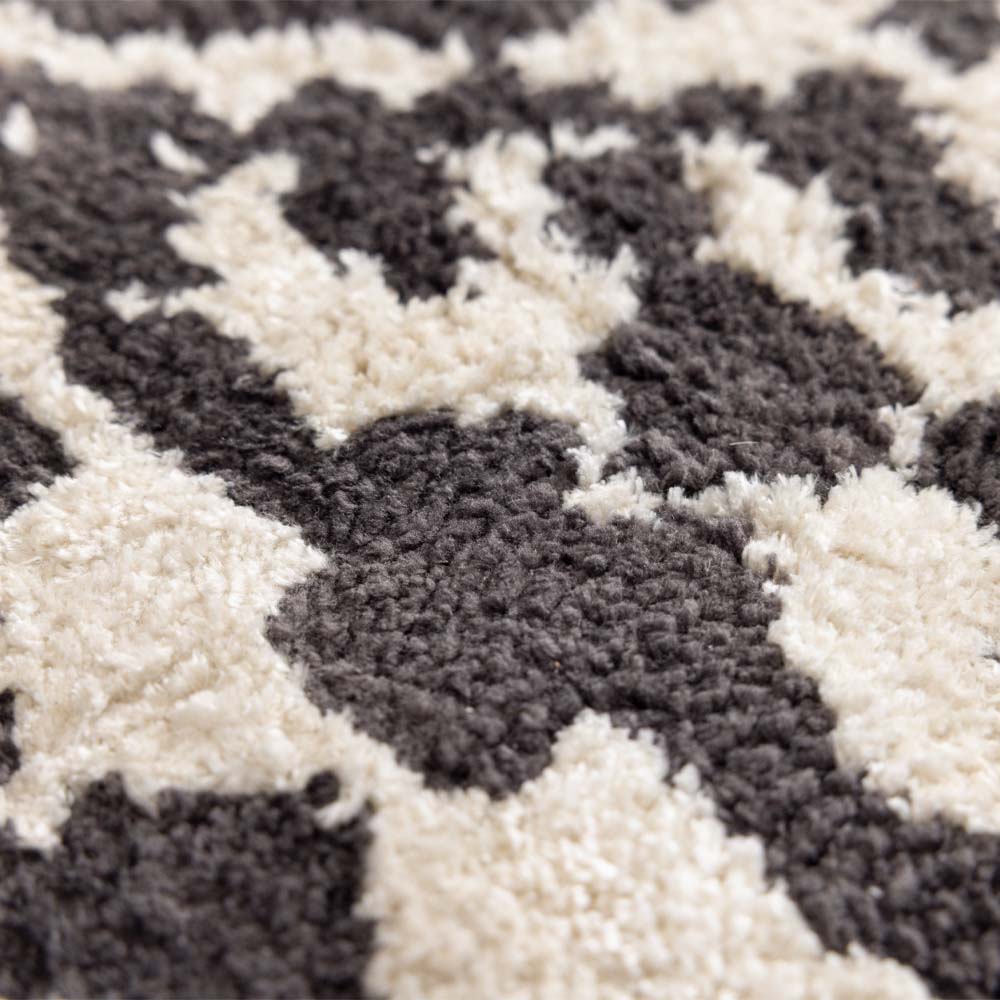 Aliko Tufted Rug