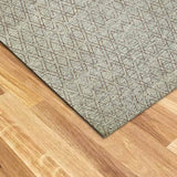 Carloarg Hand Knotted Woollen Rug